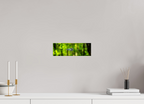 11.9 x 4″, Photo Print On Fuji Crystal DP II Lurking Reflections