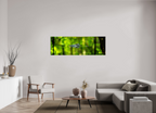 71 x 24″, Photo Print Under Acrylic Glass Lurking Reflections