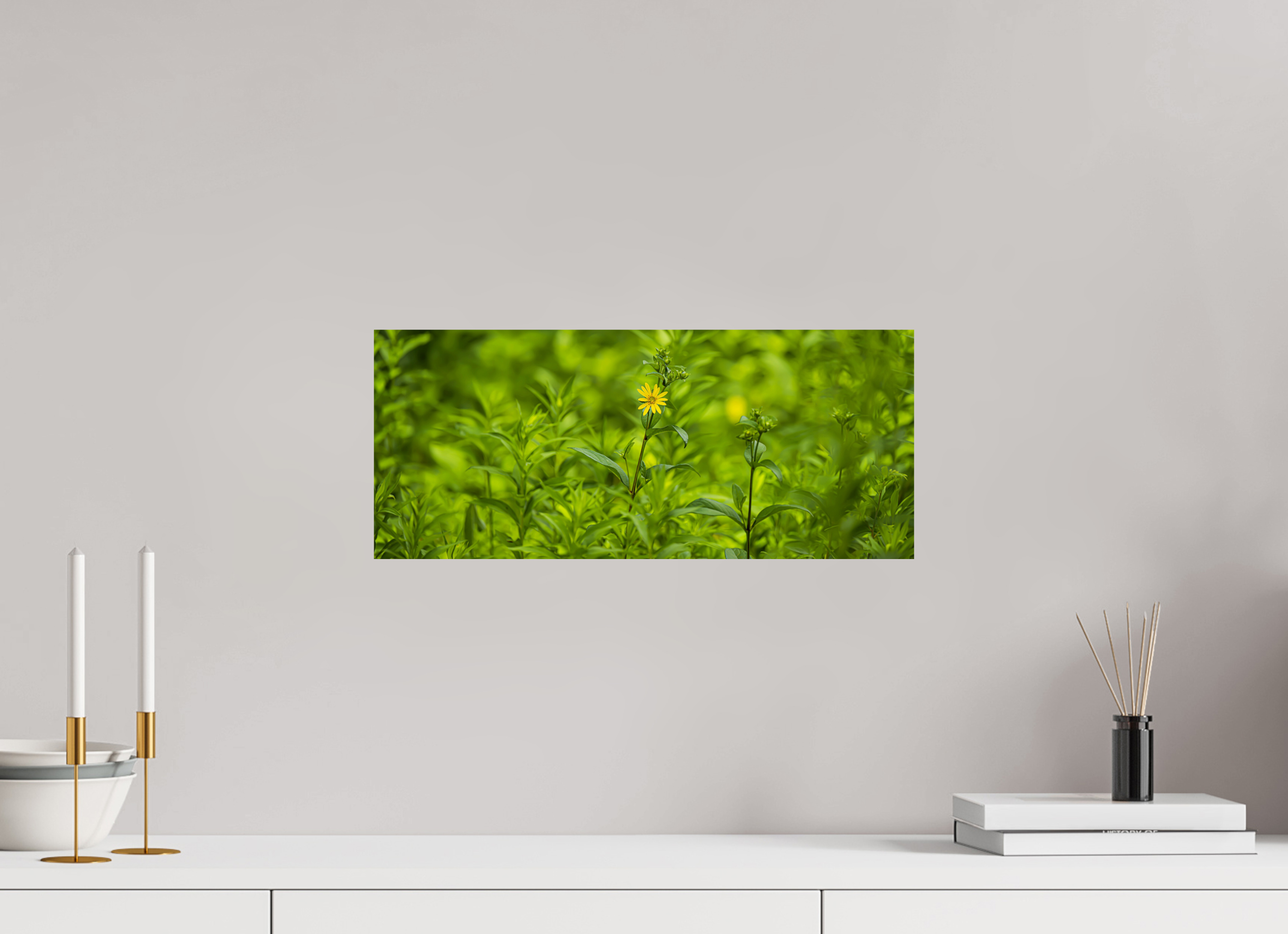 18.8 x 8″, Photo Print On Fuji Crystal DP II Lonely Bloom