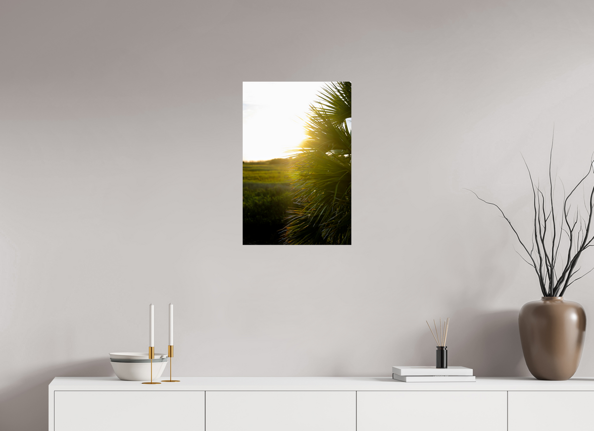 16 x 24″, Photo Print On Fuji Crystal DP II Golden Hour Sunset Through Palm Fronds in Coastal Marshland
