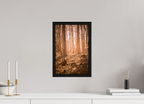 golden solitude forest landscape wall art photography
