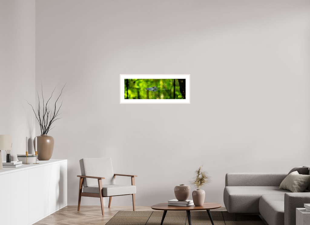 32.6 x 11″, Changeable Magnetic Frame Lurking Reflections