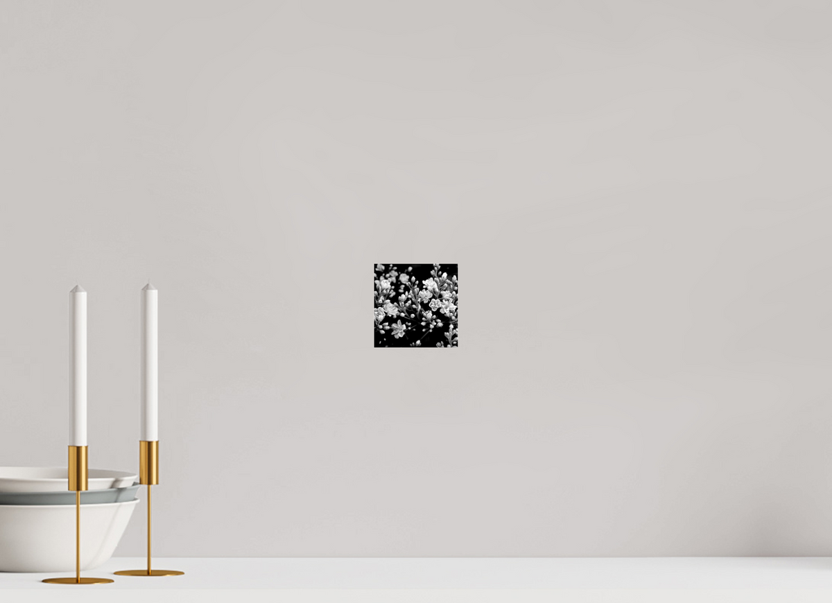 4 x 4″, Photo Print Under Acrylic Glass Midnight Blossoms black and white floral fine art print