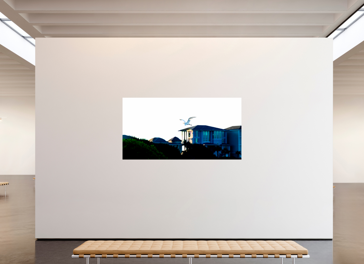 82.7 x 43″, Photo Print On Fuji Crystal DP II White Egret Flying Over Coastal Beach House