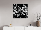 30 x 30″, Photo Print Under Acrylic Glass Midnight Blossoms black and white floral fine art print
