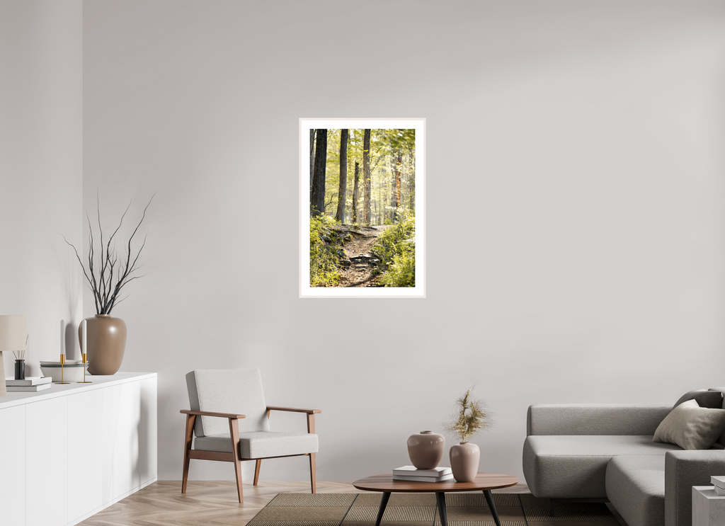 morning light golden forest fine art wall art photography