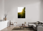 36 x 54″, Photo Print On Fuji Crystal DP II Golden Hour Sunset Through Palm Fronds in Coastal Marshland