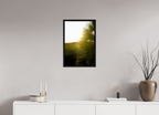 16 x 24″, Floater Frame Golden Hour Sunset Through Palm Fronds in Coastal Marshland