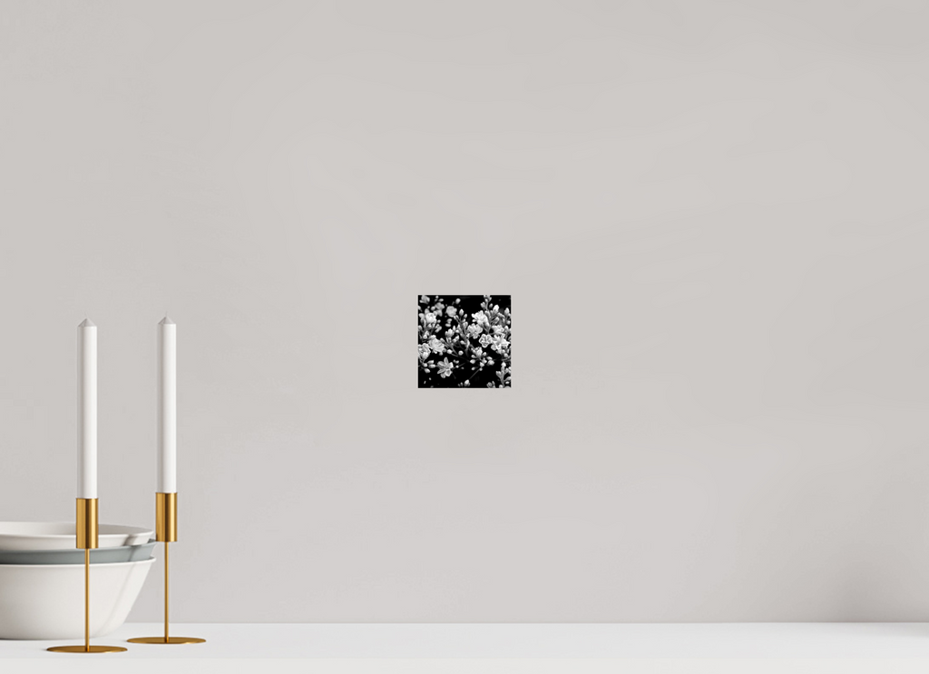4 x 4″, Photo Print On Fuji Crystal DP II Midnight Blossoms black and white floral fine art print