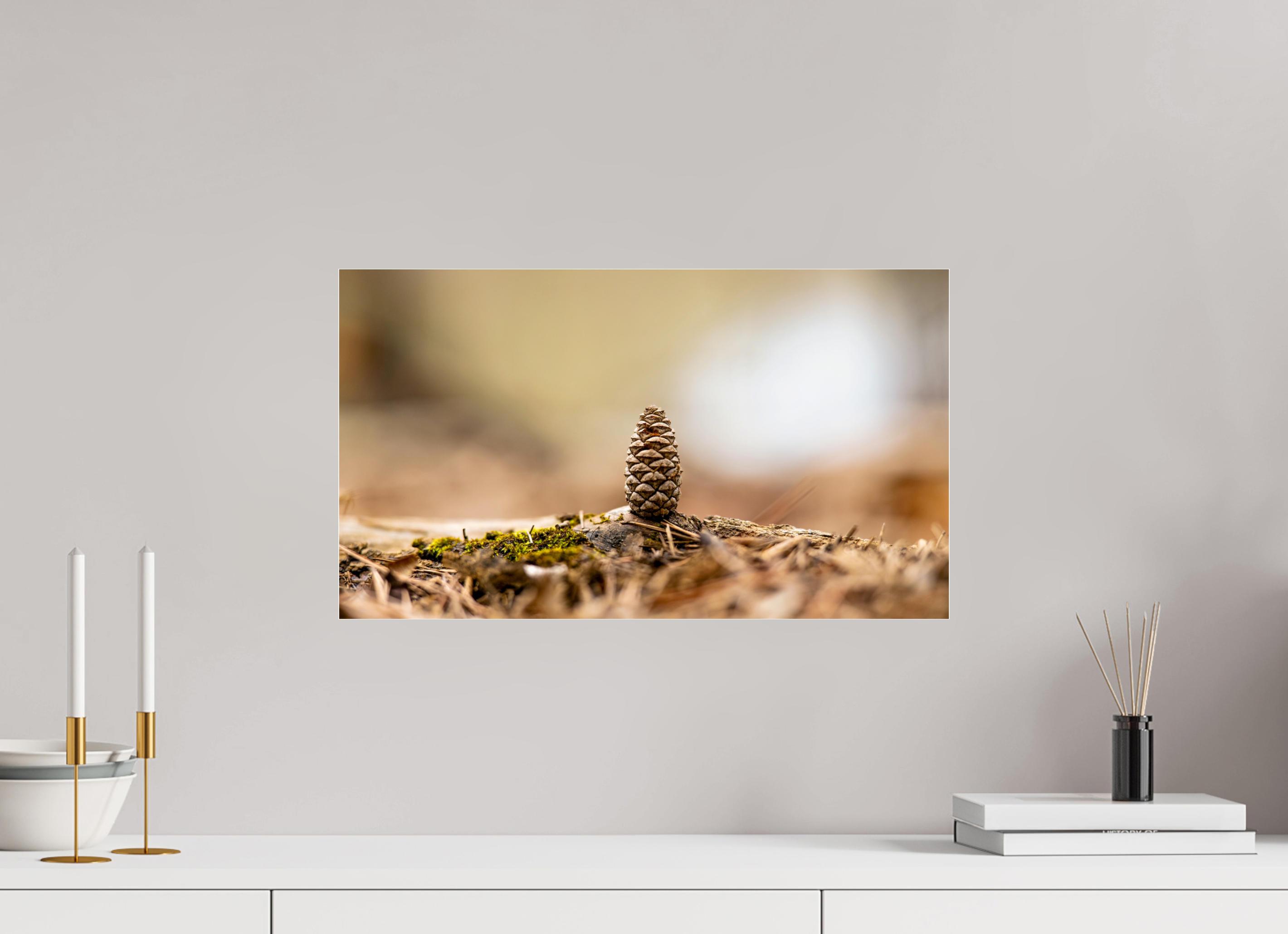 20.9 x 12″, Photo Print Under Acrylic Glass Macro Cone