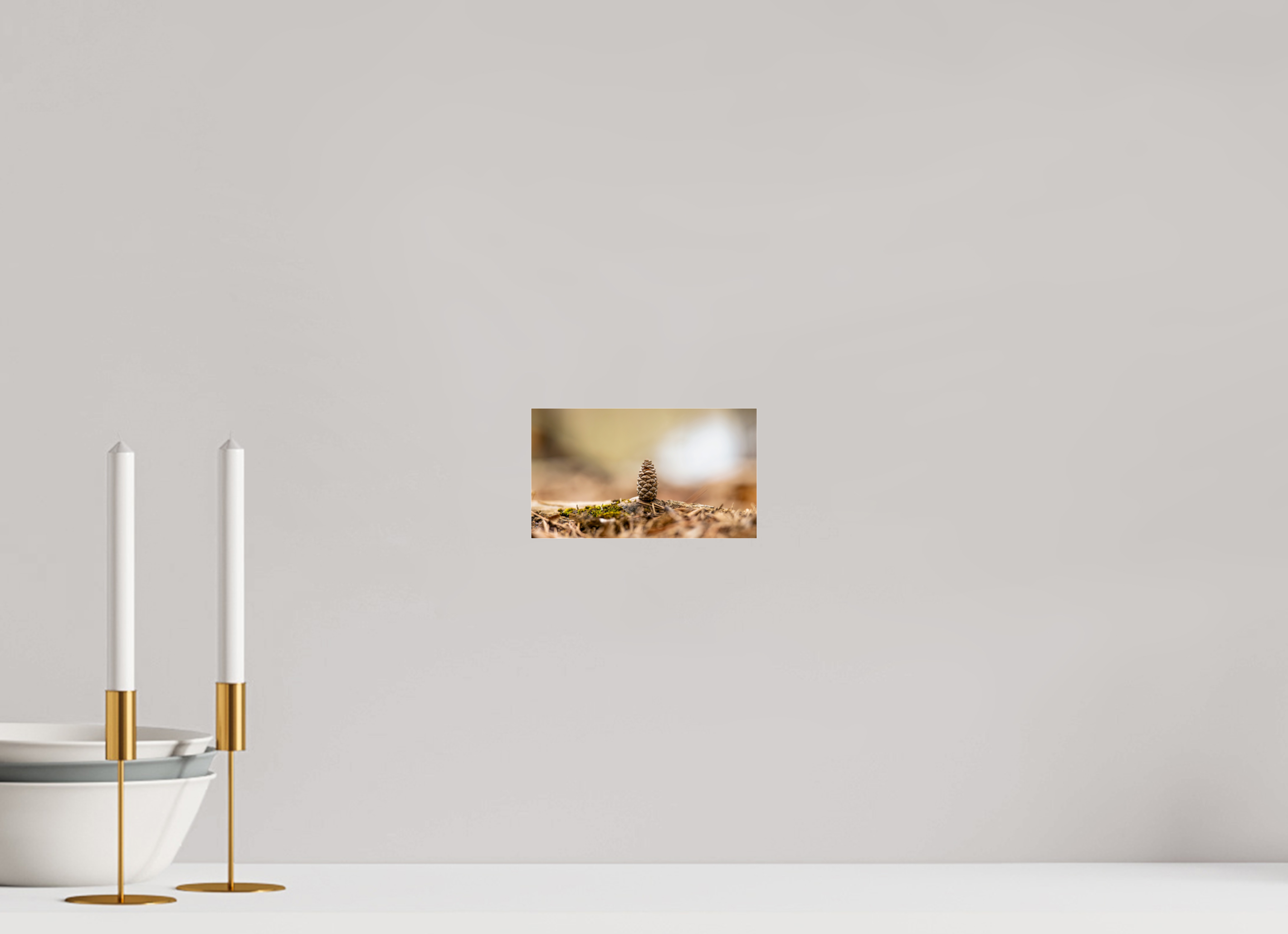 7 x 4″, Photo Print Under Acrylic Glass Macro Cone