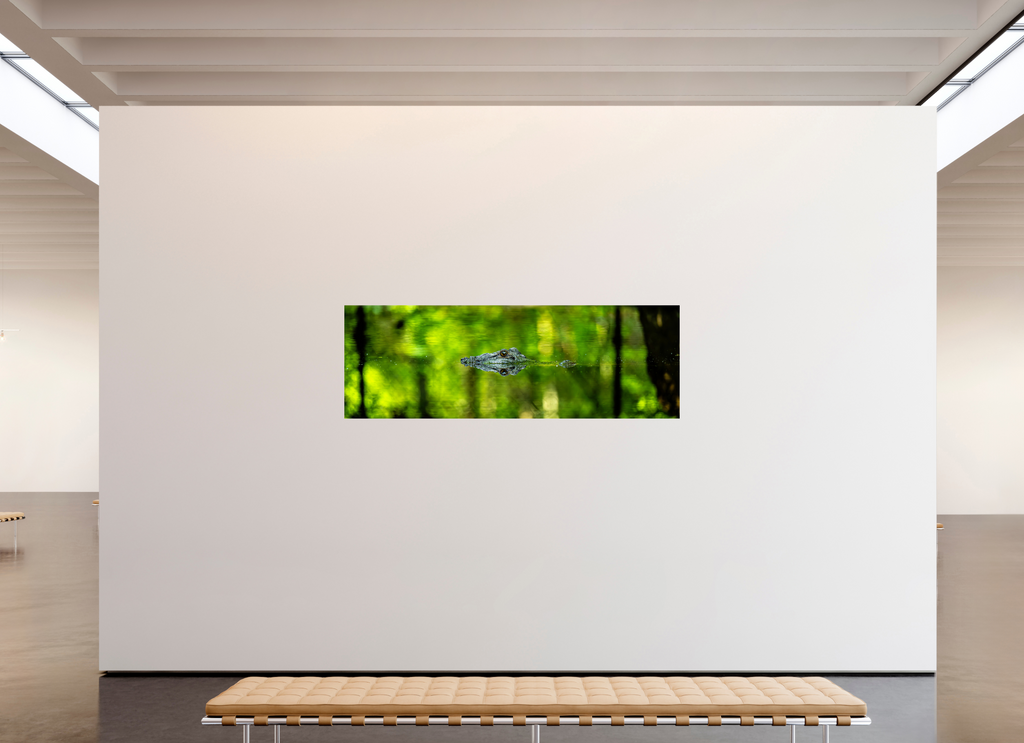 82.9 x 28″, Photo Print On Fuji Crystal DP II Lurking Reflections