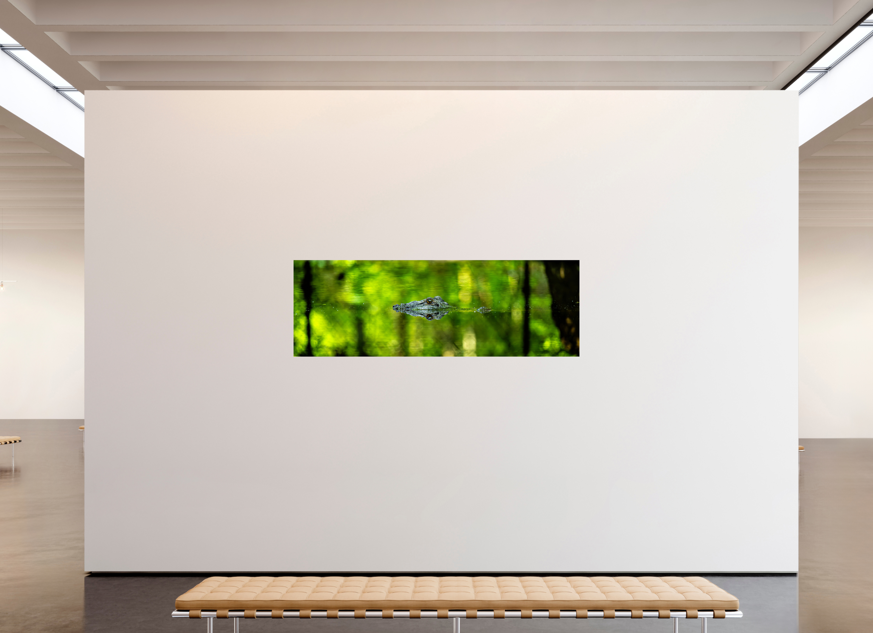 82.9 x 28″, Photo Print On Fuji Crystal DP II Lurking Reflections