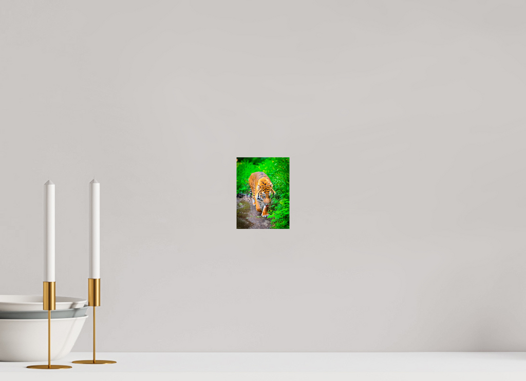 On the Prowl Bold Contemporary Wildlife Wall Art
