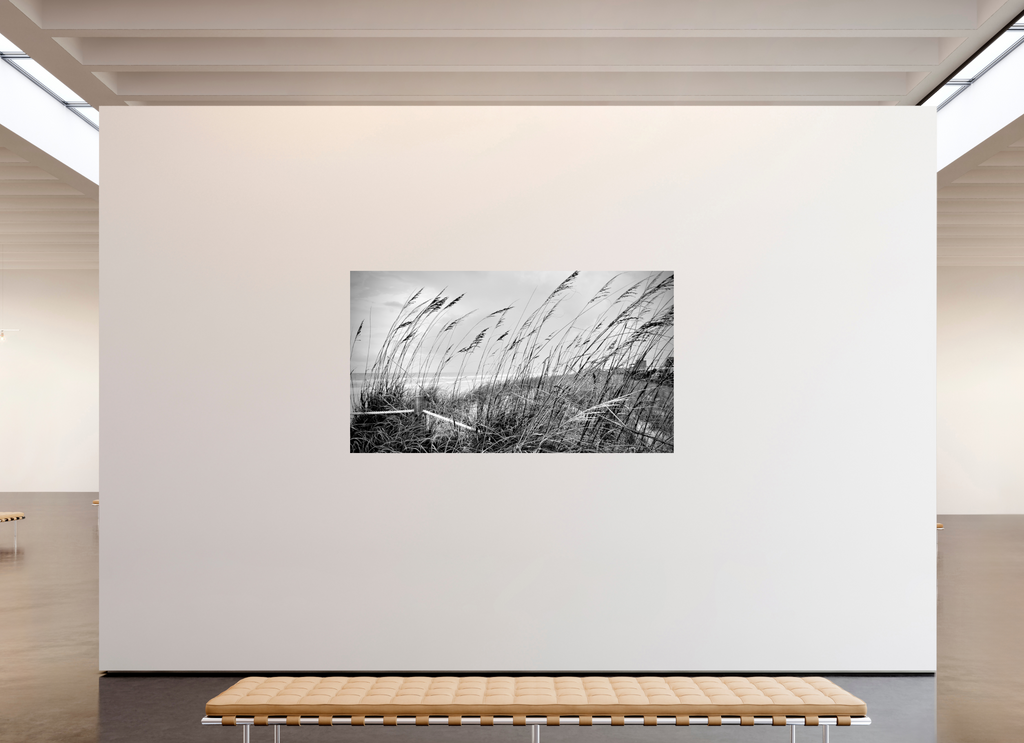 80 x 45″, Photo Print On Fuji Crystal DP II Whispering Sea Oats