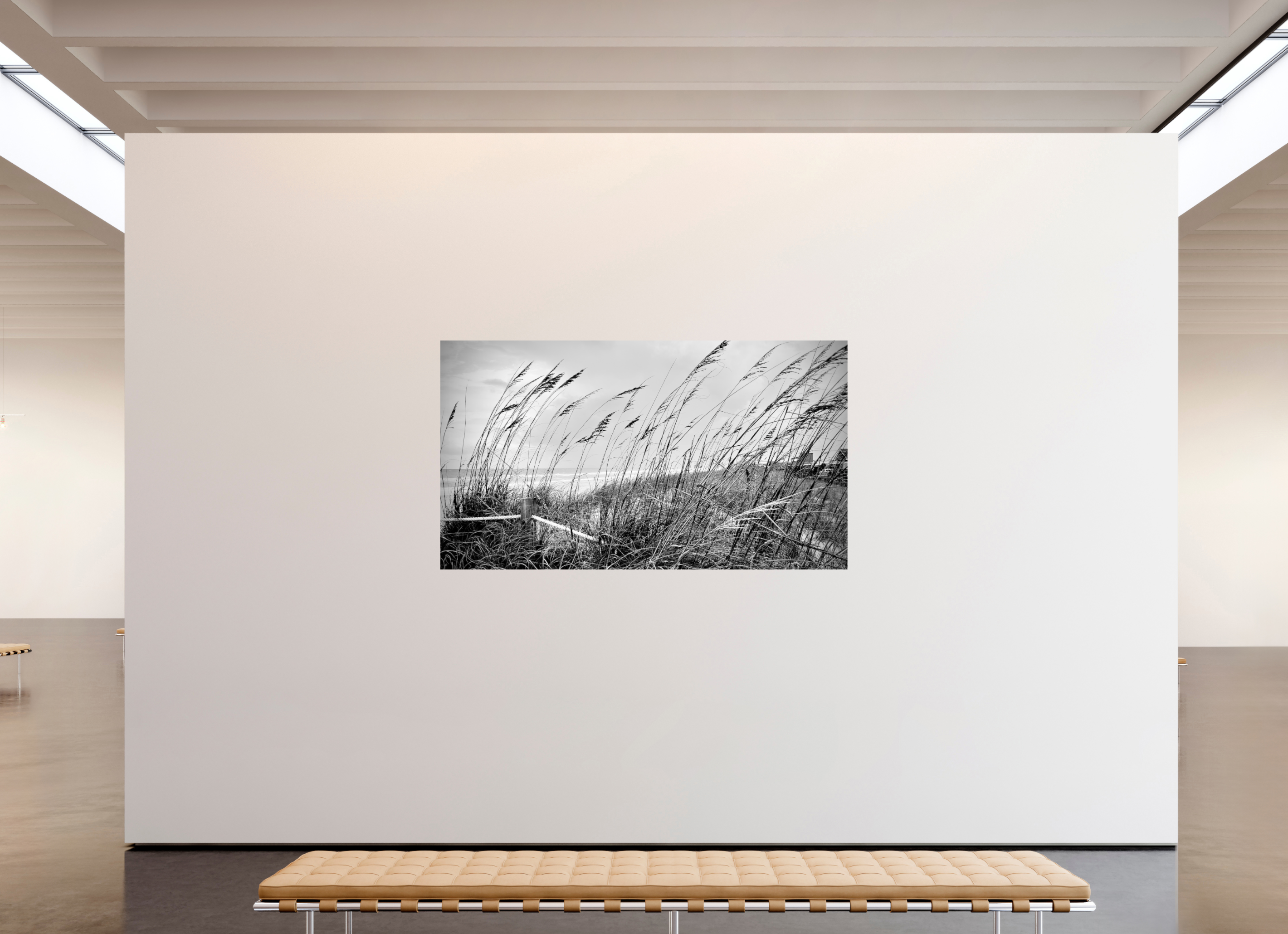 80 x 45″, Photo Print On Fuji Crystal DP II Whispering Sea Oats