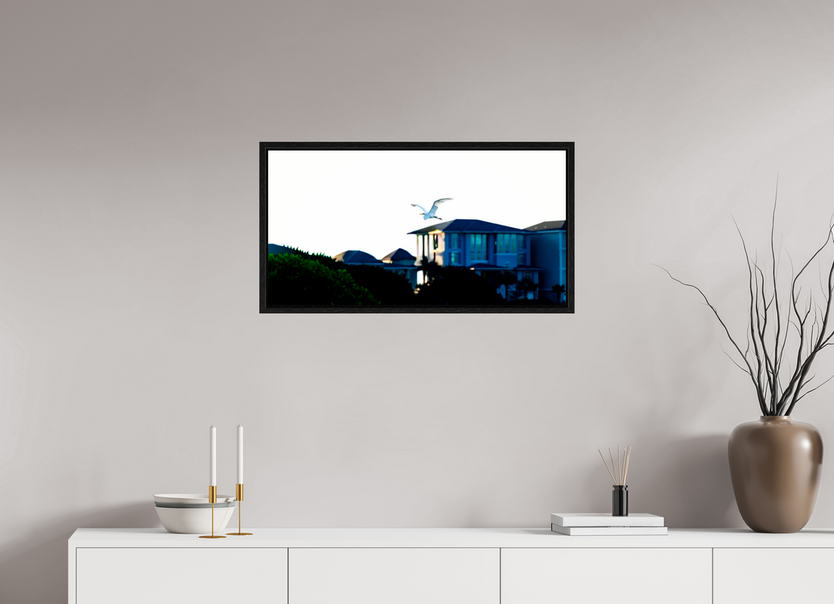 30.7 x 16″, Floater Frame White Egret Flying Over Coastal Beach House