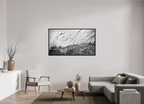 64 x 36″, Floater Frame Whispering Sea Oats