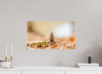 Macro Cone Modern Abstract Textured Wall Art