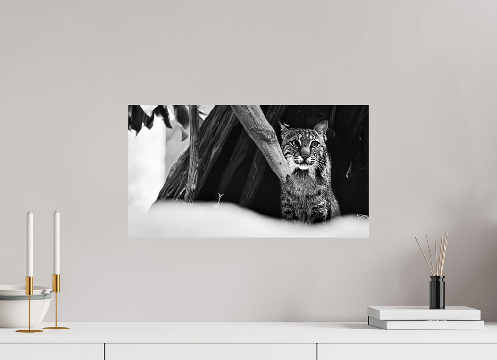 21.7 x 12″, Photo Print On Fuji Crystal DP II Lynx Dreams