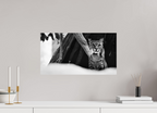 21.7 x 12″, Photo Print On Fuji Crystal DP II Lynx Dreams