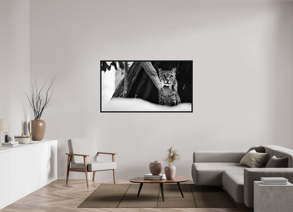 63.3 x 35″, Floater Frame Lynx Dreams