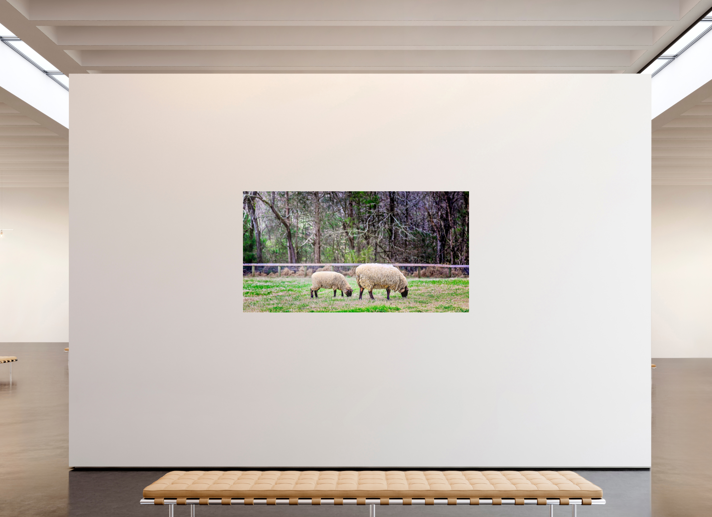 80.2 x 43″, Photo Print Under Acrylic Glass Tranquil Pastures