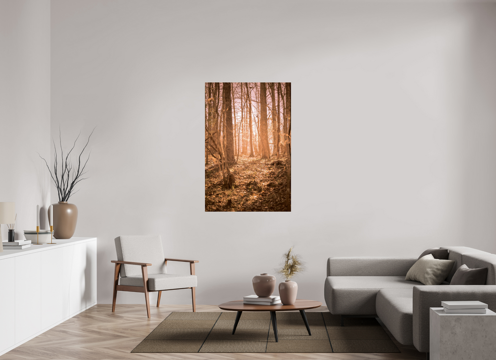 golden solitude forest landscape wall art photography