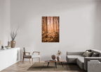 golden solitude forest landscape wall art photography