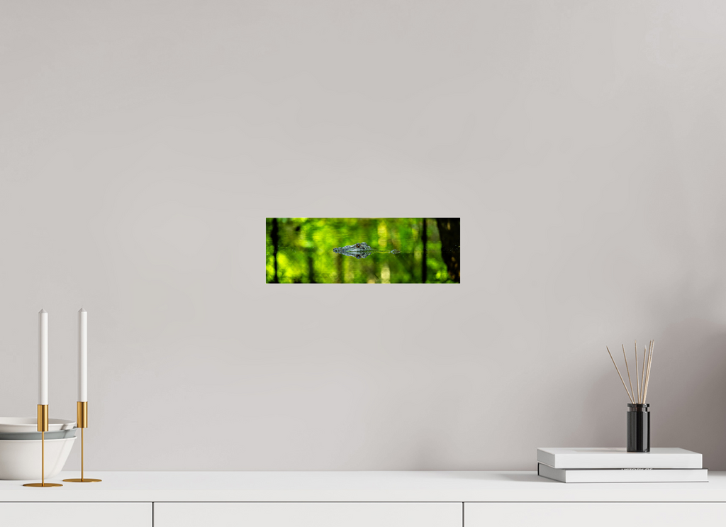 11.9 x 4″, Photo Print Under Acrylic Glass Lurking Reflections