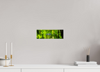 11.9 x 4″, Photo Print Under Acrylic Glass Lurking Reflections