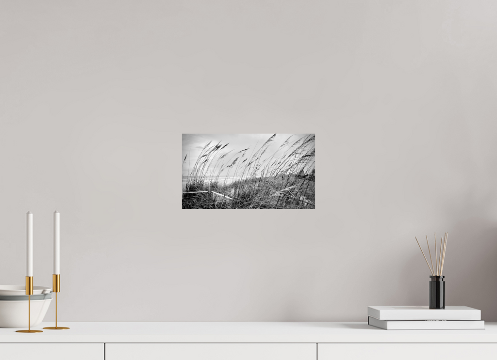 12 x 6.8″, Photo Print On Fuji Crystal DP II Whispering Sea Oats