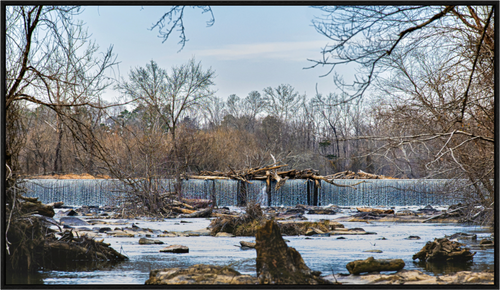 Main image A Study in Stillness