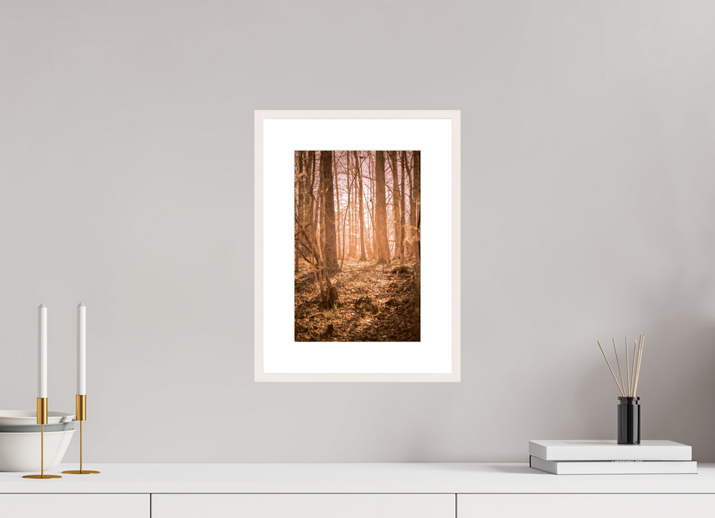 golden solitude forest landscape wall art photography