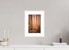 golden solitude forest landscape wall art photography