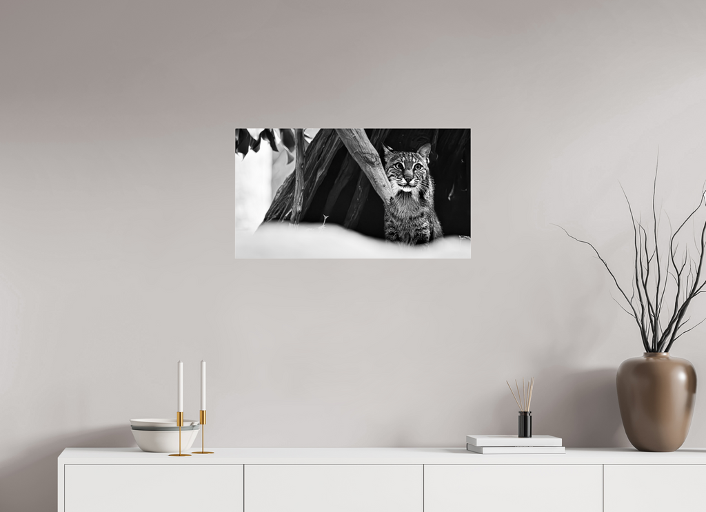 28.9 x 16″, Photo Print Under Acrylic Glass Lynx Dreams