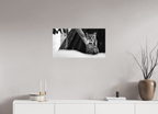 28.9 x 16″, Photo Print Under Acrylic Glass Lynx Dreams