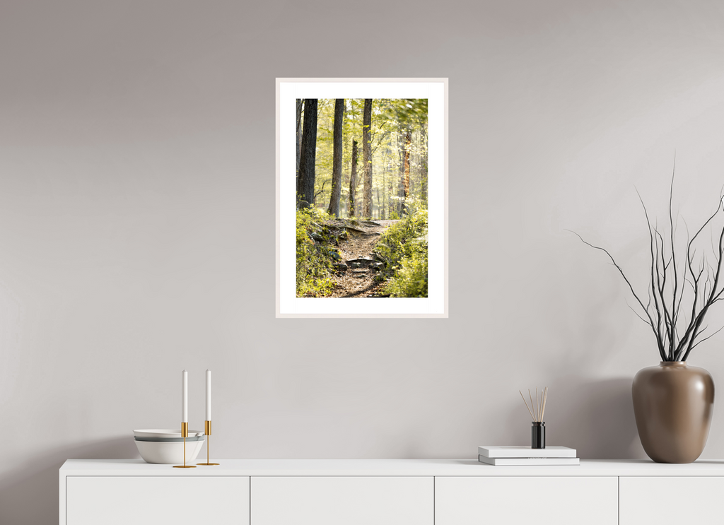morning light golden forest fine art wall art photography