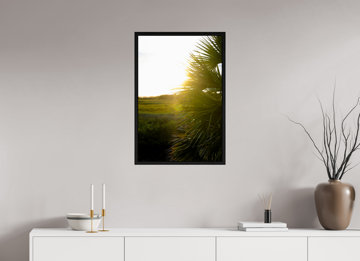 20 x 30″, Floater Frame Golden Hour Sunset Through Palm Fronds in Coastal Marshland