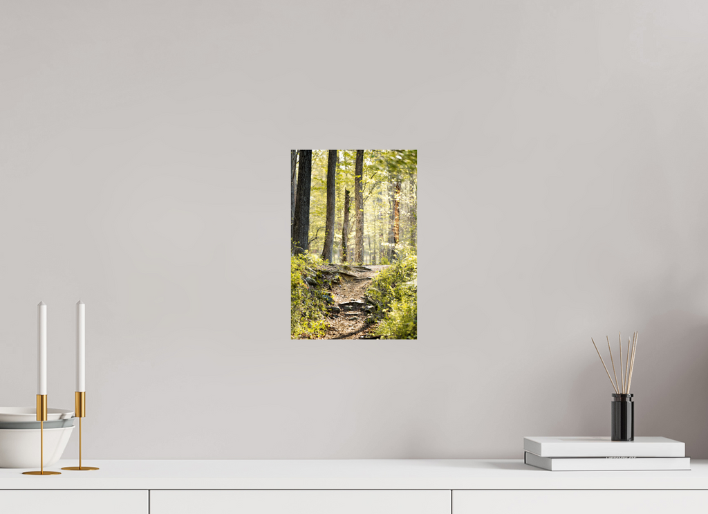 morning light golden forest fine art wall art photography