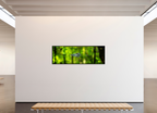 82.9 x 28″, Floater Frame Lurking Reflections