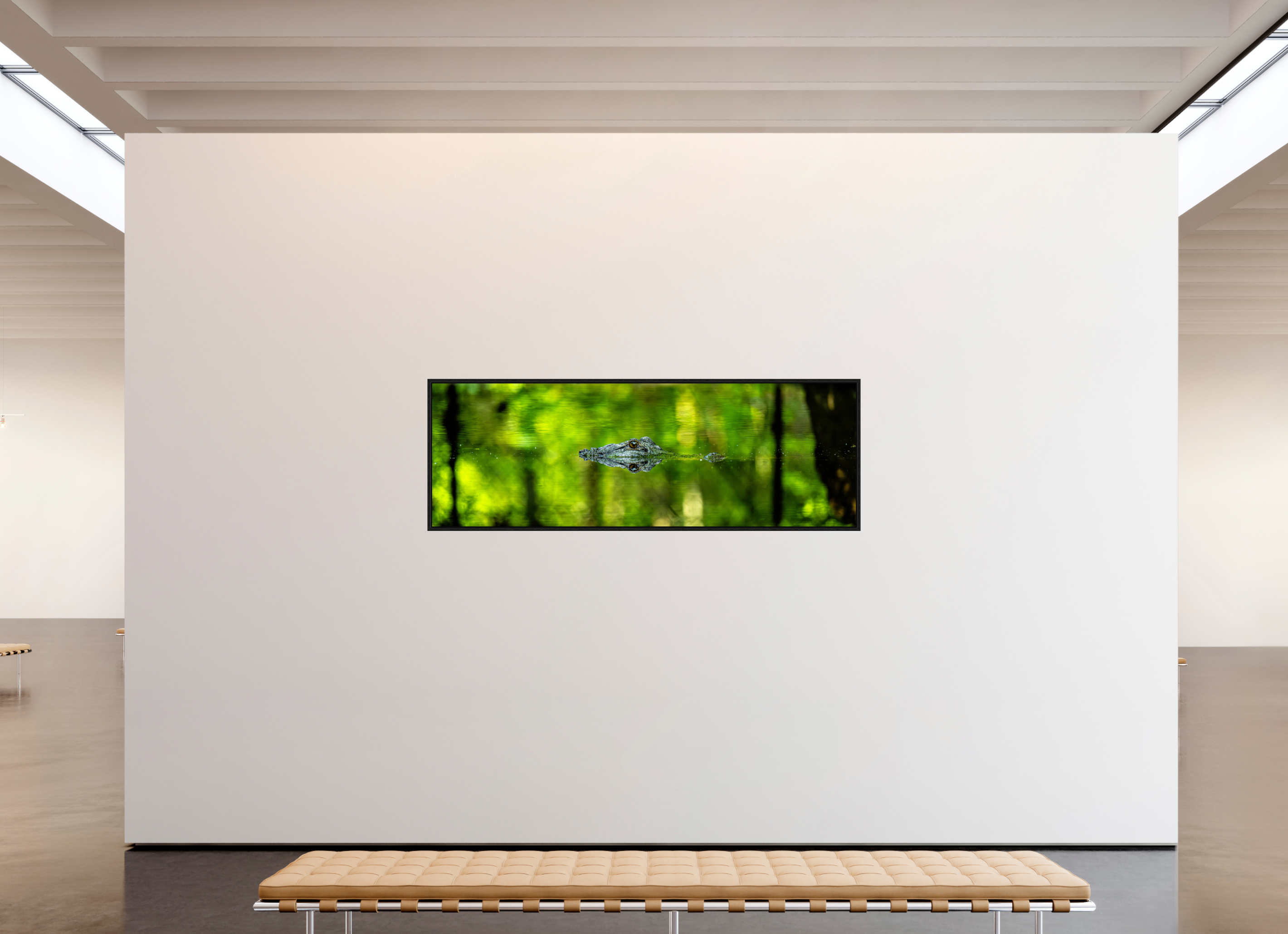 82.9 x 28″, Floater Frame Lurking Reflections