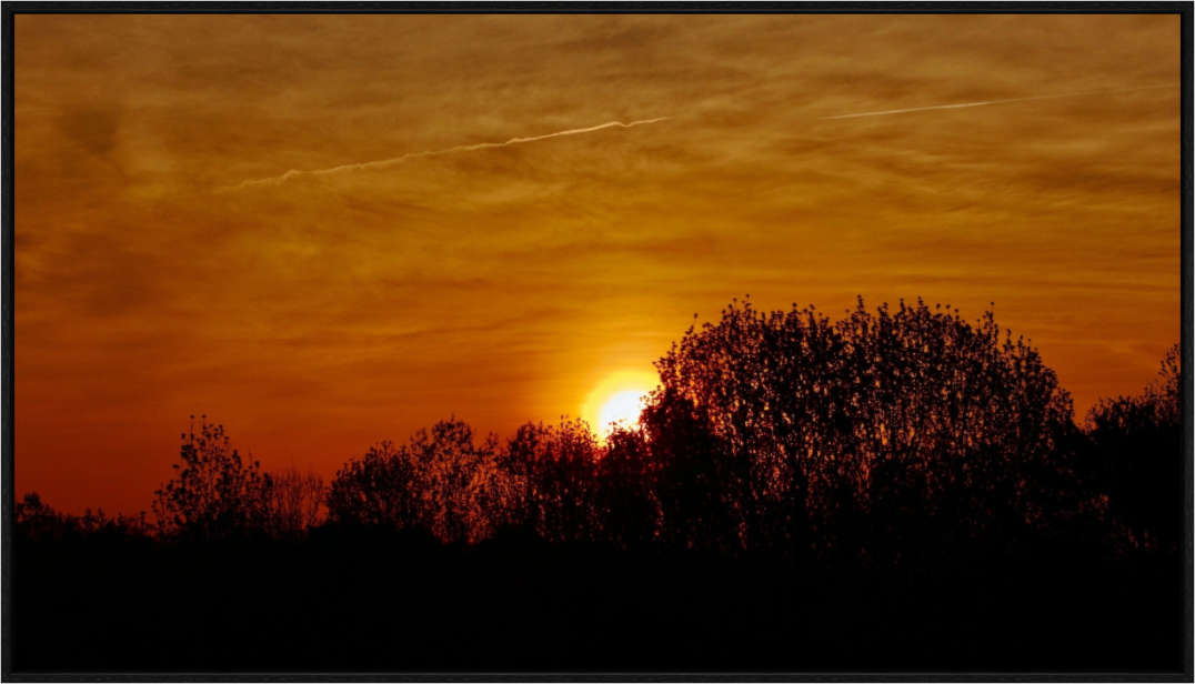 Main image Sunset Silhouette