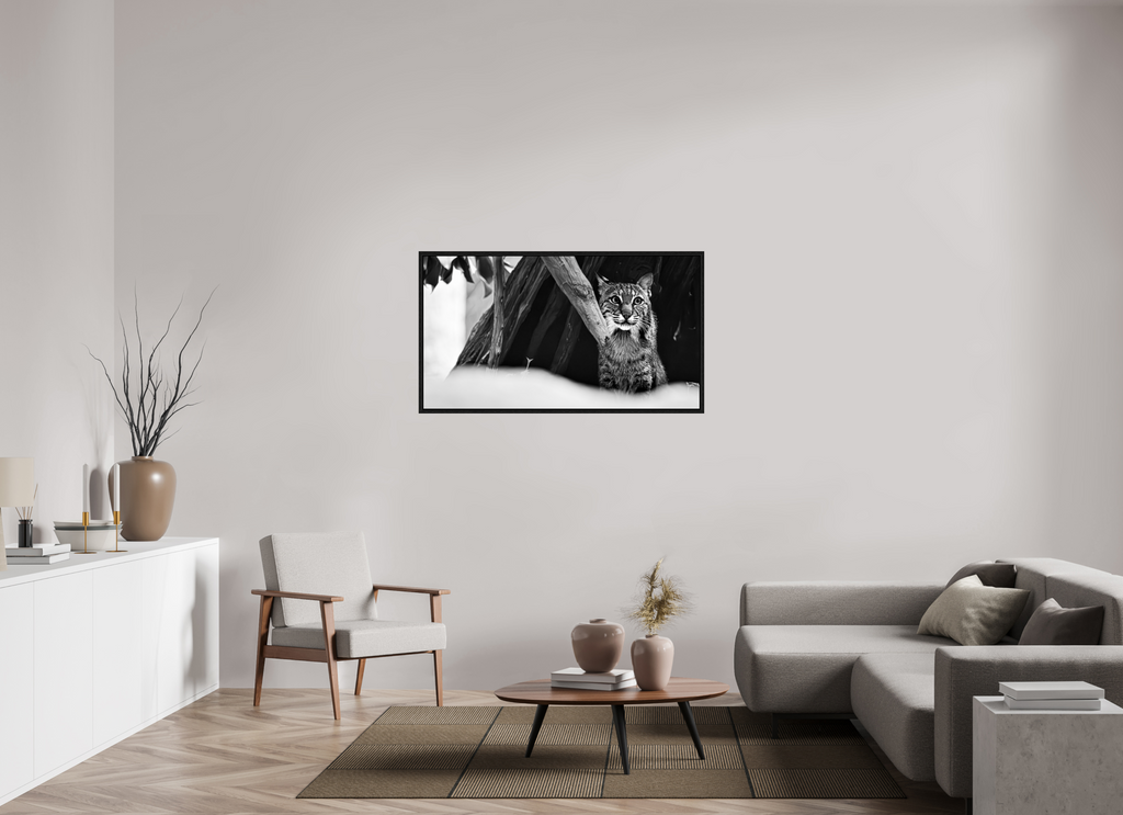 50.7 x 28″, Floater Frame Lynx Dreams