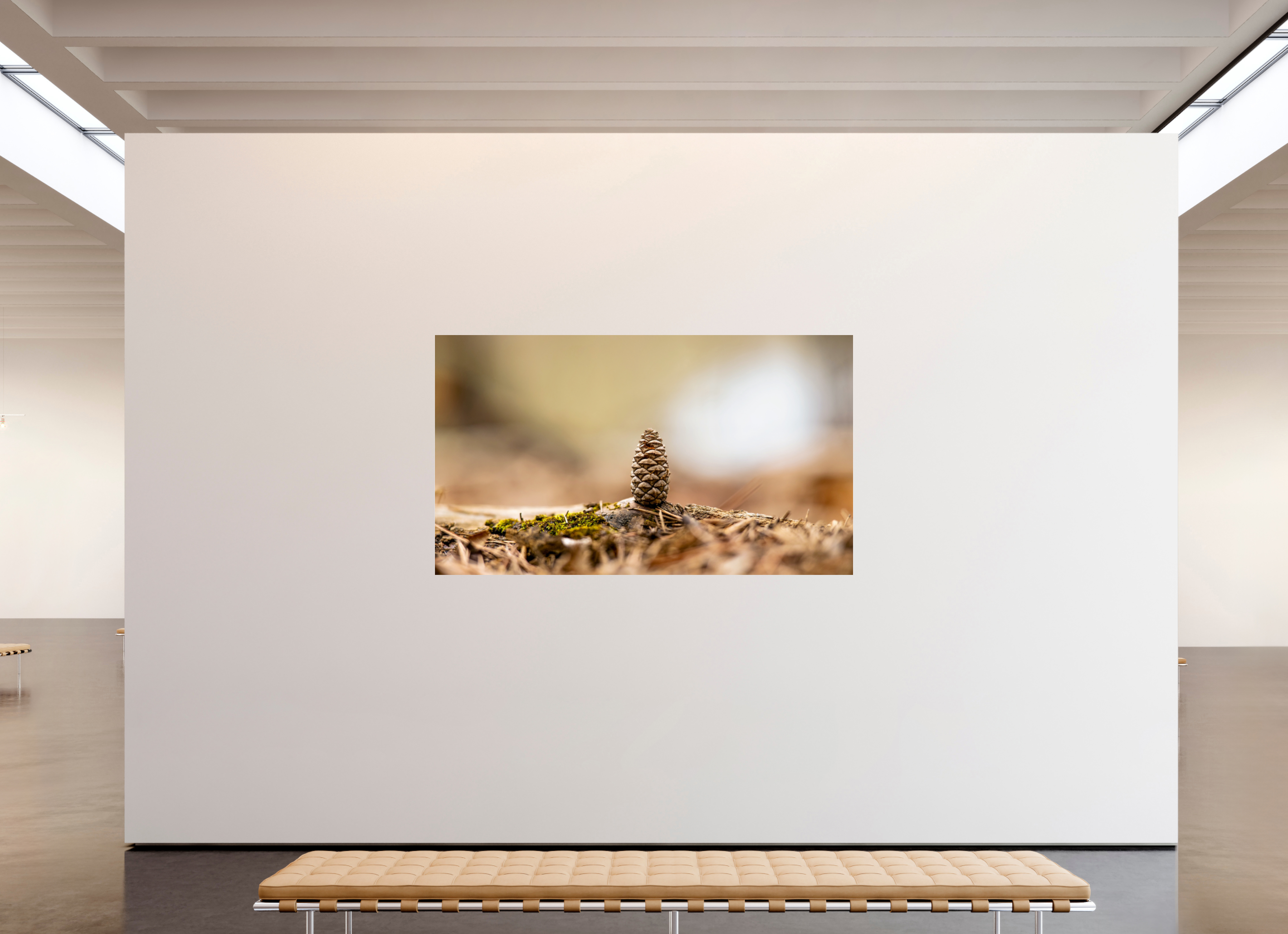 82 x 47″, Photo Print Under Acrylic Glass Macro Cone
