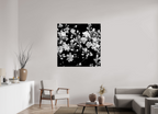 45 x 45″, Photo Print On Fuji Crystal DP II Midnight Blossoms black and white floral fine art print