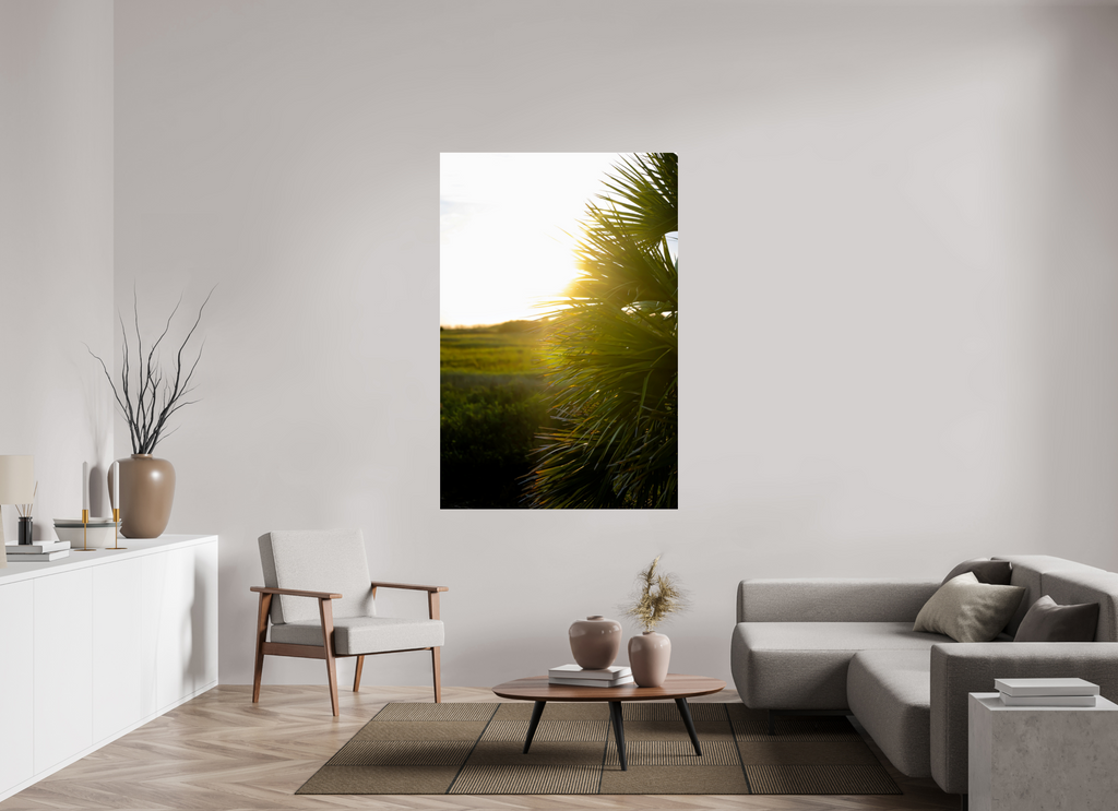 44 x 66″, Photo Print Under Acrylic Glass Golden Hour Sunset Through Palm Fronds in Coastal Marshland