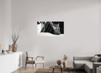 43.4 x 24″, Photo Print On Fuji Crystal DP II Lynx Dreams