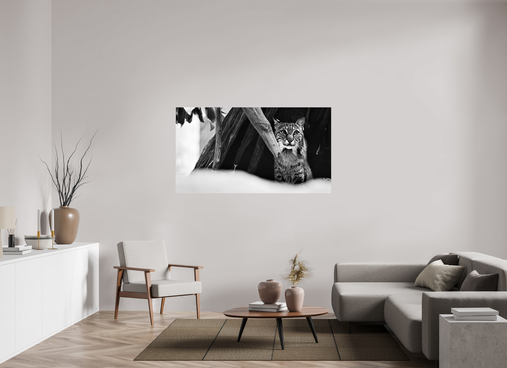 63.3 x 35″, Photo Print Under Acrylic Glass Lynx Dreams