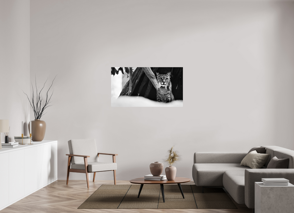 50.7 x 28″, Photo Print On Fuji Crystal DP II Lynx Dreams